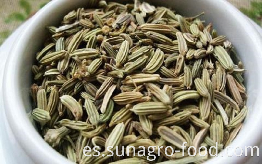 Top Quality Spice Fennel